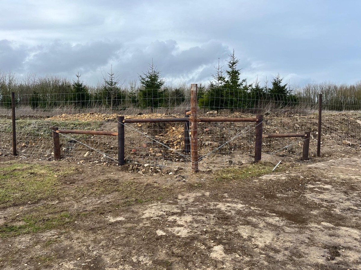 Portfolio project 10