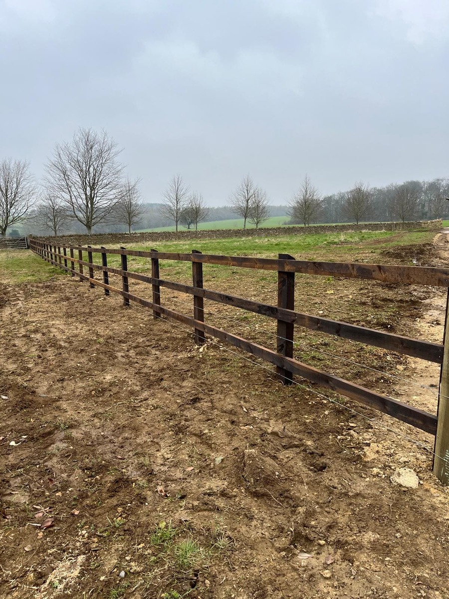 Portfolio project 12