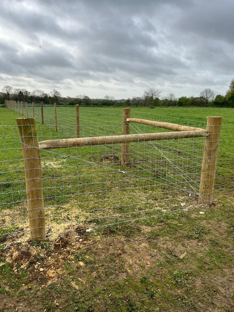 Portfolio project 13