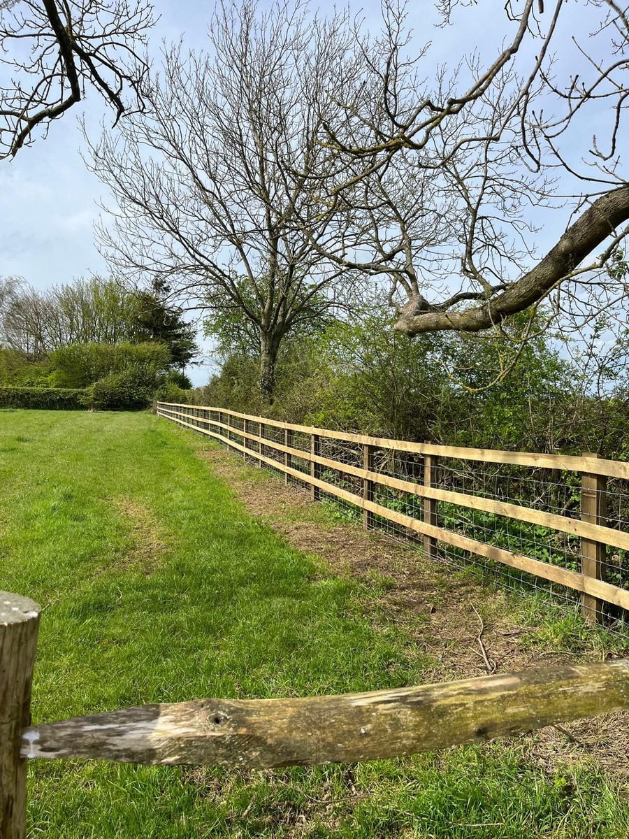 Portfolio project 15