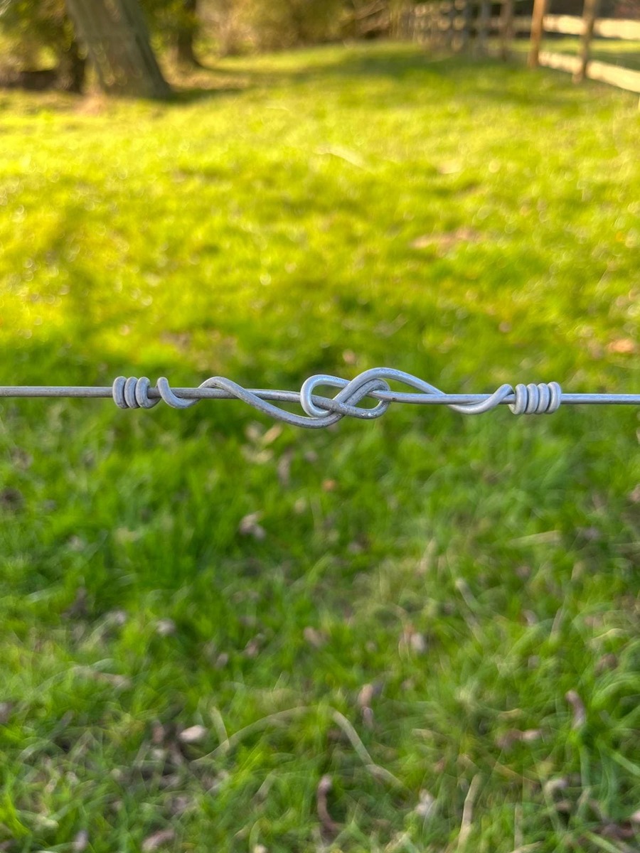 Portfolio project 16