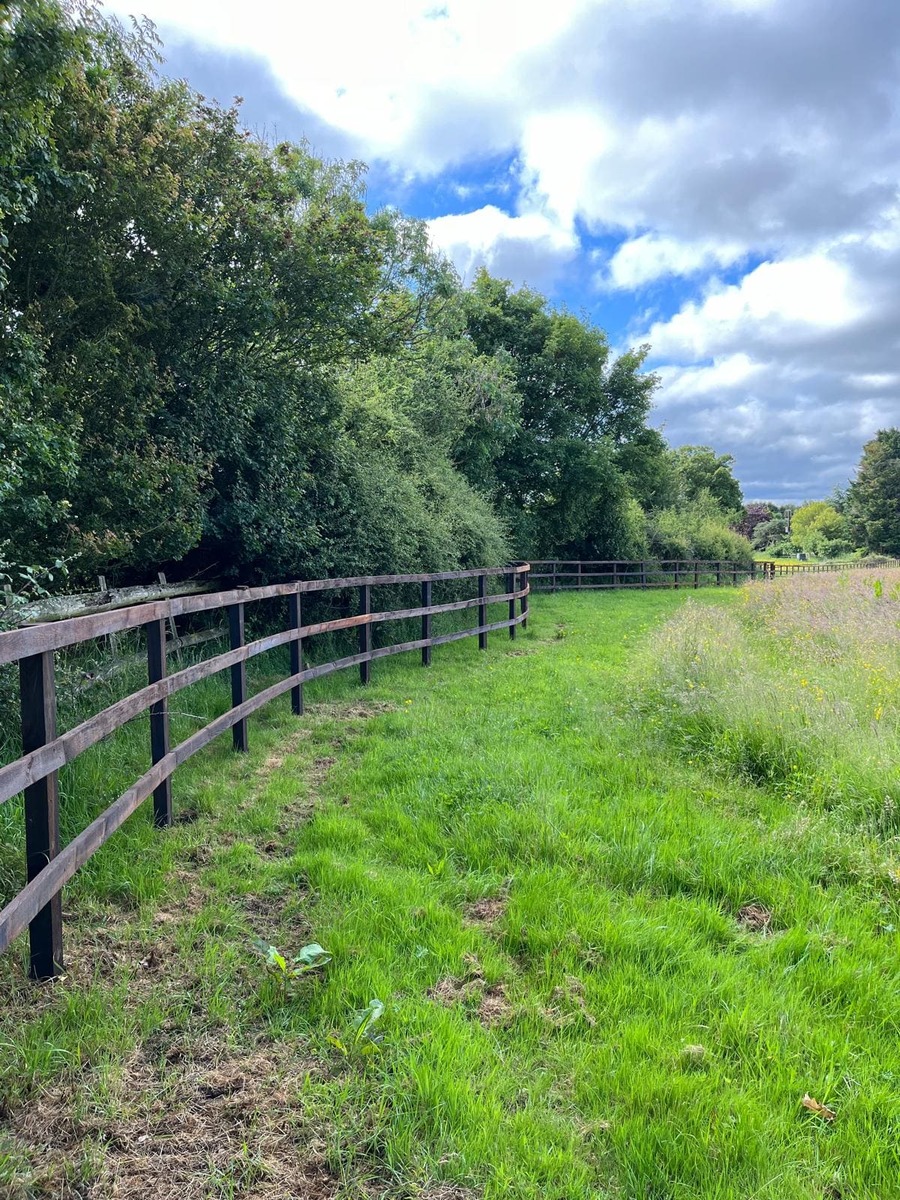 Portfolio project 19