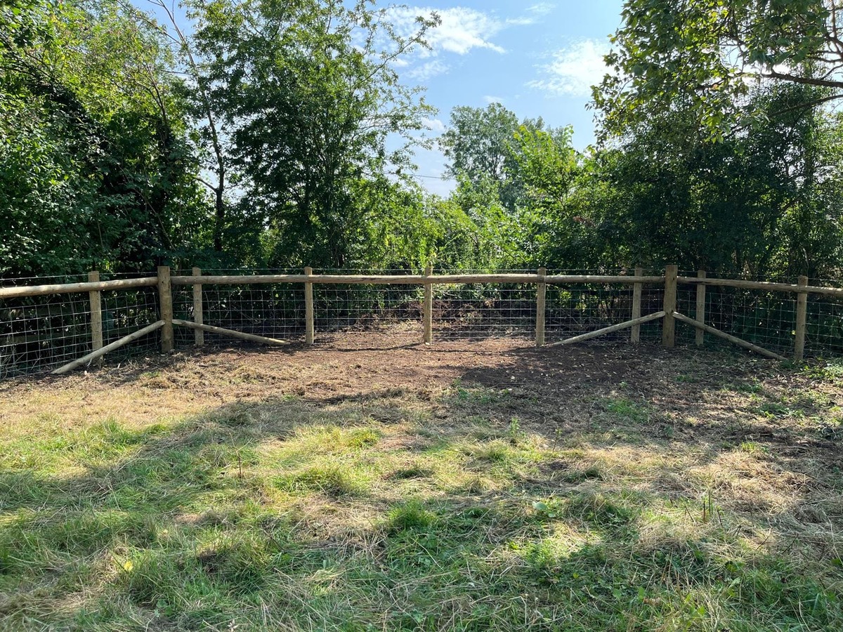 Portfolio project 20