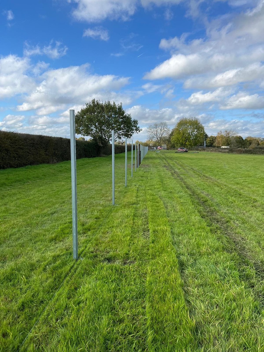 Portfolio project 21