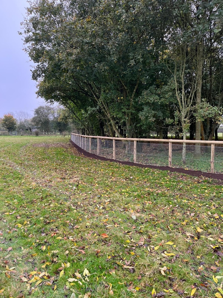 Portfolio project 22