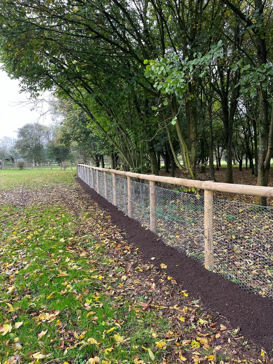 Portfolio project 23