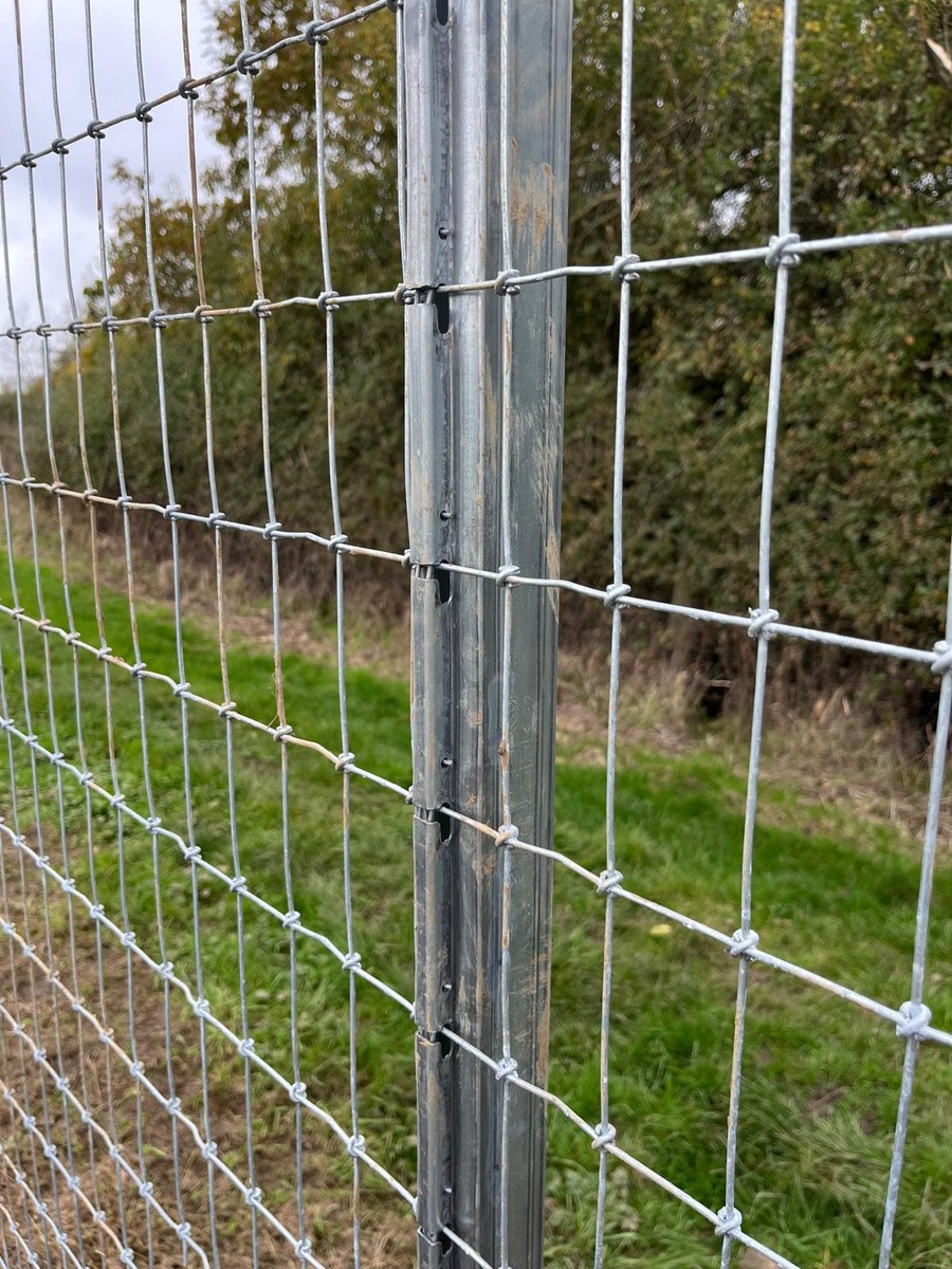 Portfolio project 24