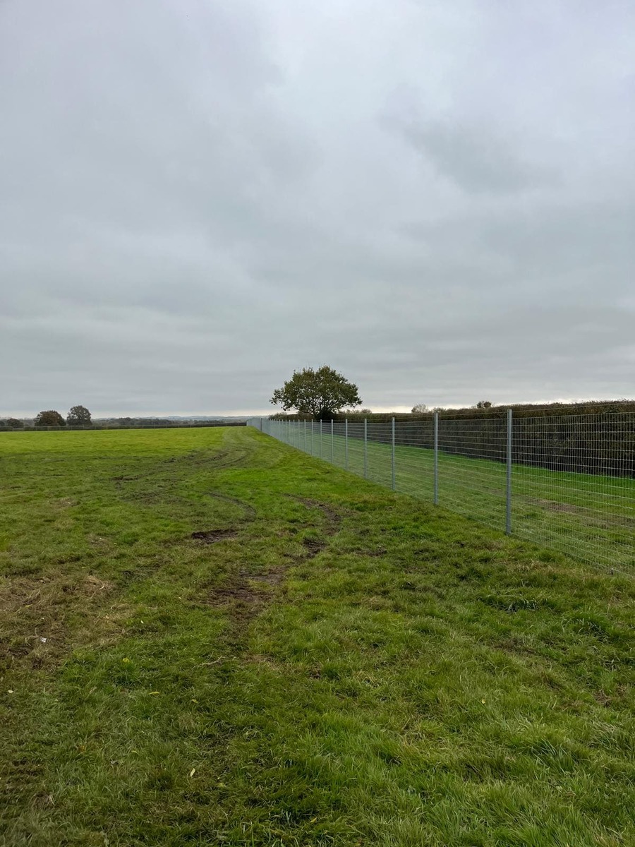 Portfolio project 25