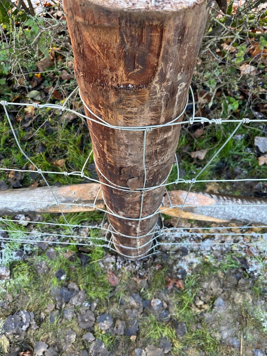 Portfolio project 26