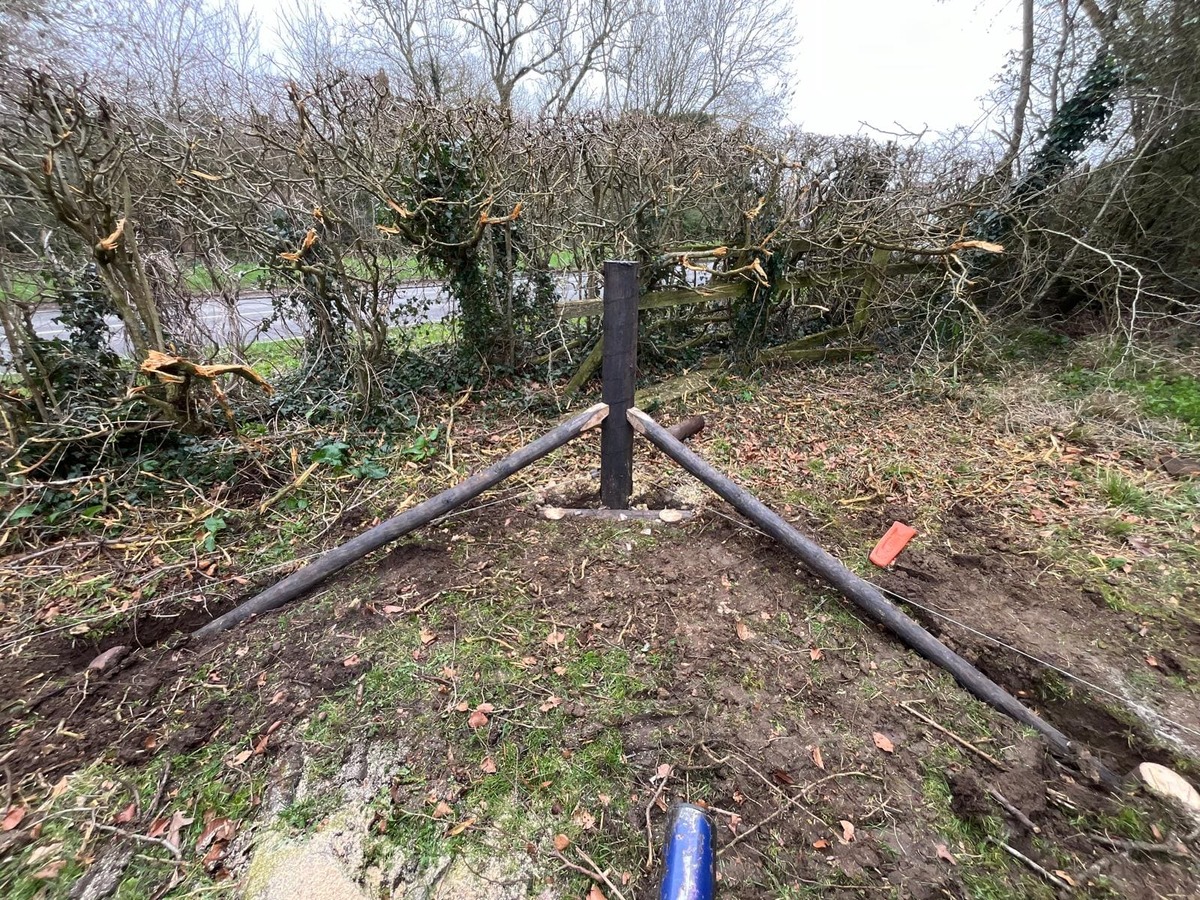 Portfolio project 27