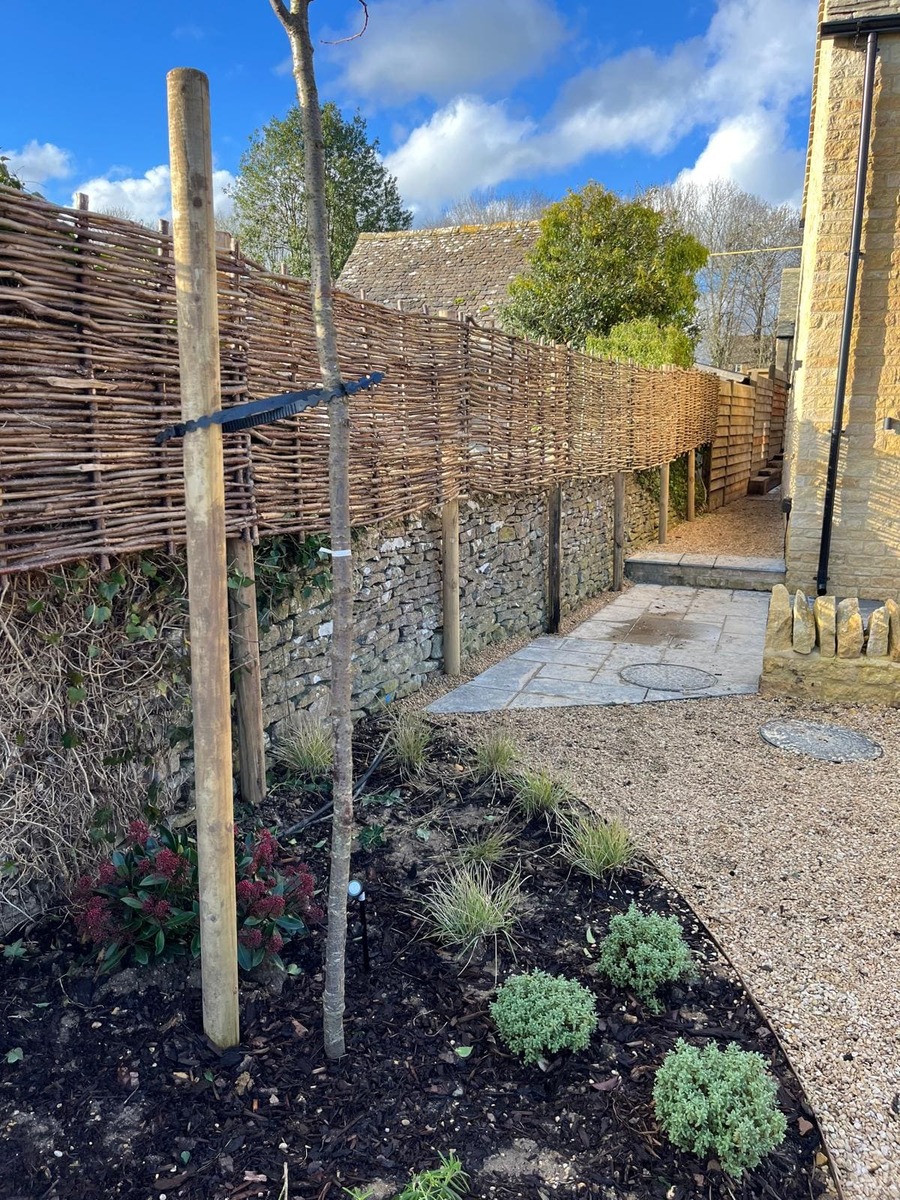 Portfolio project 30