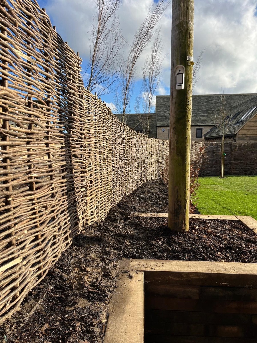 Portfolio project 31